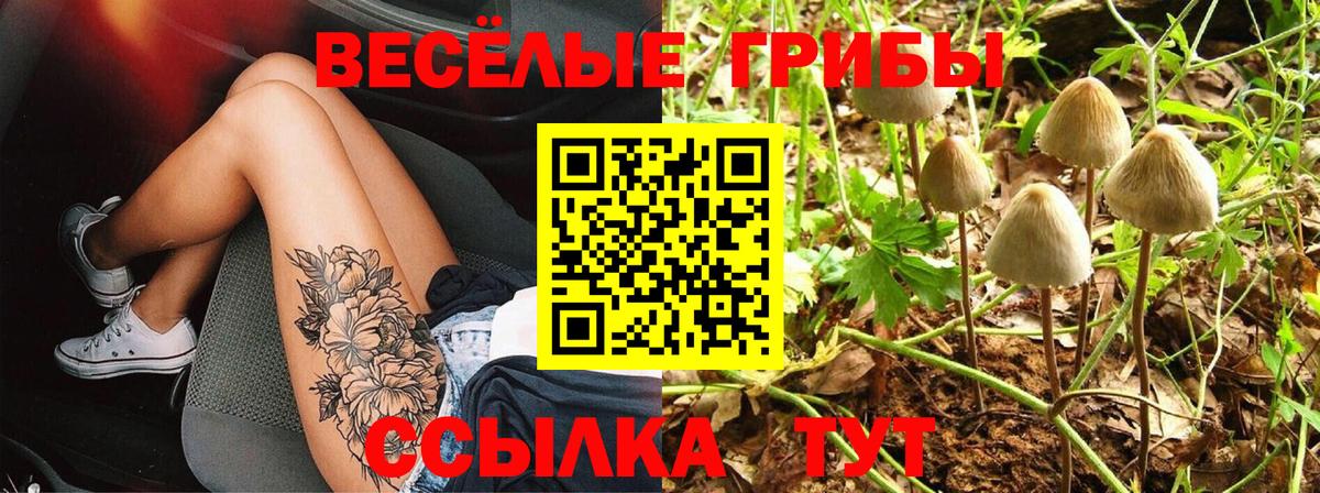 Галлюциногенные грибы ЛСД  Вход с VPN  Феодосия 